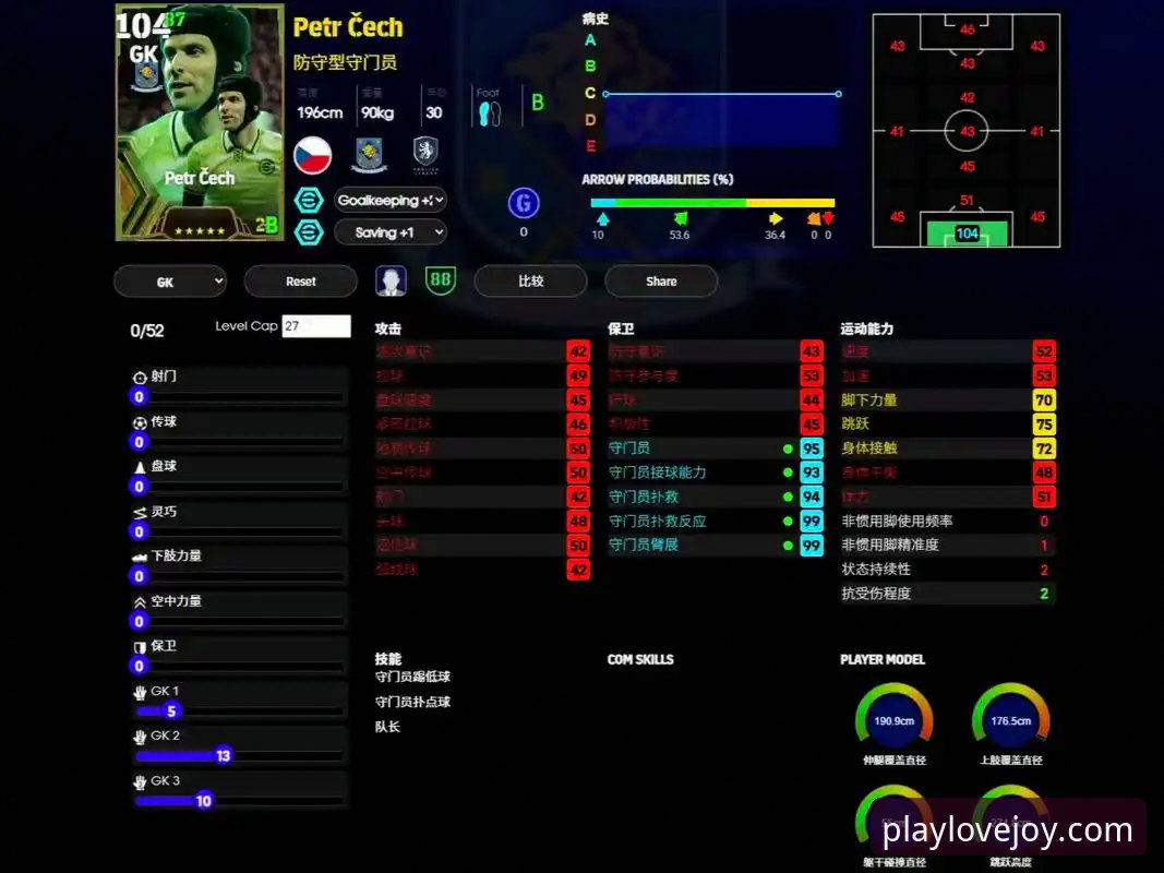 爱游戏官方下载怎么样 如何通过爱游戏平台深度解析阿根廷队世界杯前伤病危机:技术评测与资讯获取教程