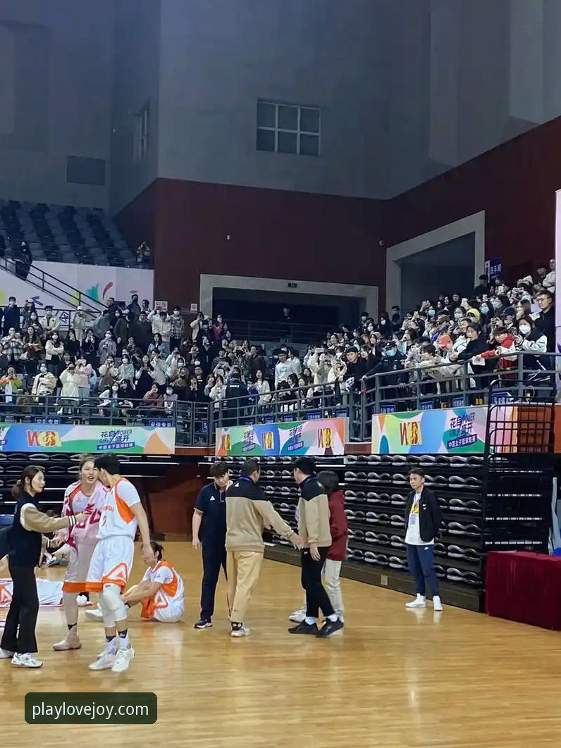 在爱游戏平台获取WCBA总决赛深度解析与高清回放操作教程